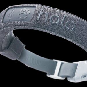 Halo 3 Dog Collar-Gray